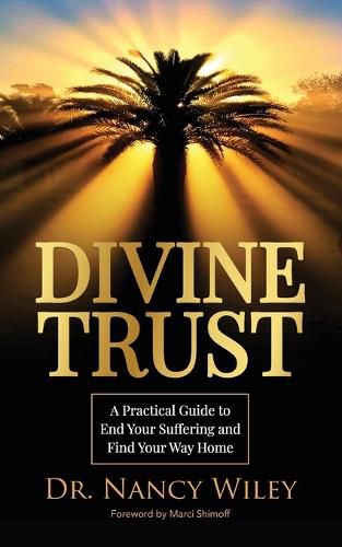 Cover image for Divine Trust: A Practical Guide to End Your Suffering and Find Your Way Home