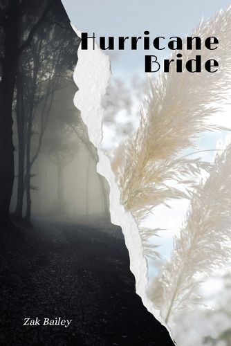 Cover image for Hurricane Bride