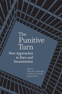 Cover image for The Punitive Turn
