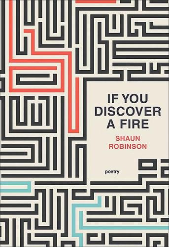 Cover image for If You Discover a Fire