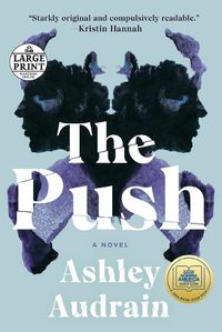 Cover image for The Push: A Novel