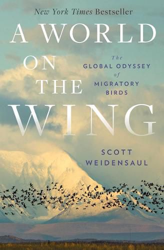 Cover image for A World on the Wing: The Global Odyssey of Migratory Birds