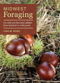 Cover image for Midwest Foraging