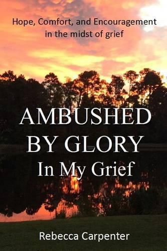 Cover image for Ambushed by Glory in My Grief