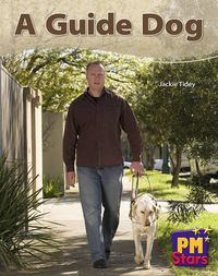 Cover image for A Guide Dog