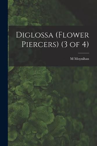 Diglossa (Flower Piercers) (3 of 4)