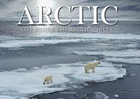 Cover image for Arctic: Life inside the Arctic Circle