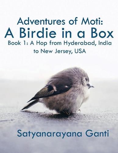 Cover image for Adventures of Moti: A Birdie in a Box: Book 1: A Hop from Hyderabad, India to New Jersey, USA