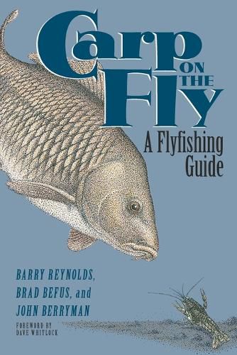 Cover image for Carp on the Fly: A Flyfishing Guide