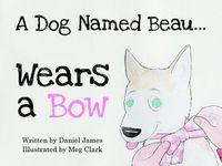 Cover image for A Dog Named Beau... Wears a Bow
