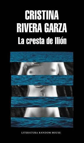 Cover image for La cresta de Ilion / The Iliac Crest