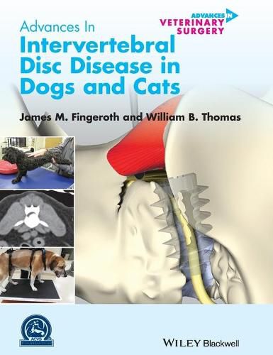 Cover image for Advances in Intervertebral Disc Disease in Dogs and Cats