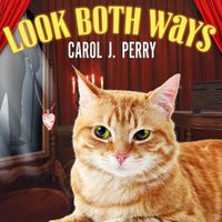 Cover image for Look Both Ways