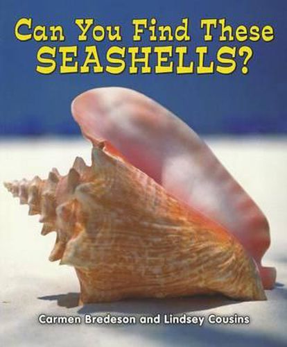 Can You Find These Seashells?