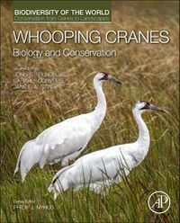 Cover image for Whooping Cranes: Biology and Conservation: Biodiversity of the World: Conservation from Genes to Landscapes