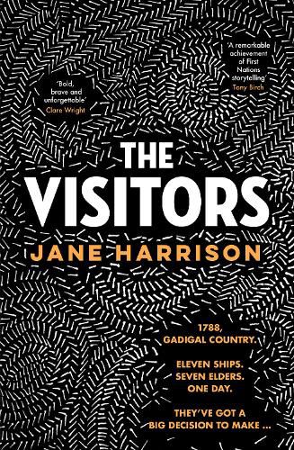 Cover image for The Visitors