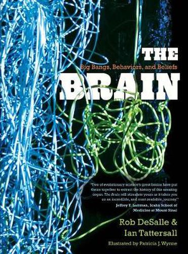 The Brain: Big Bangs, Behaviors, and Beliefs