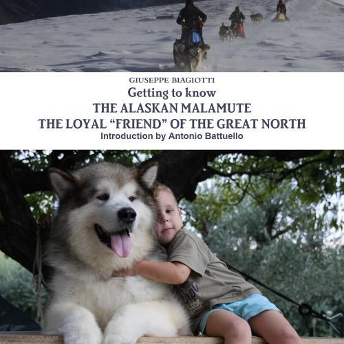 Cover image for Getting to Know the Alaskan Malamute the Loyal "Friend" of the Great North