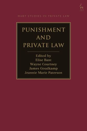 Cover image for Punishment and Private Law