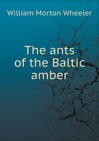 Cover image for The ants of the Baltic amber