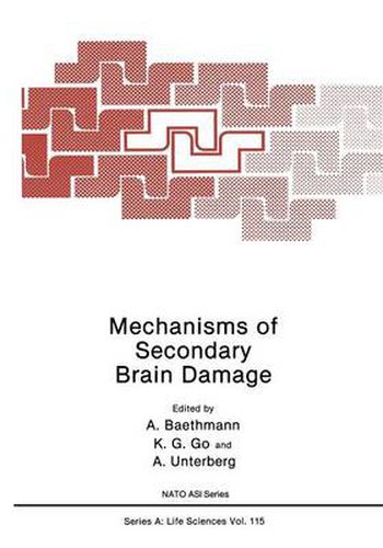 Cover image for Mechanisms of Secondary Brain Damage