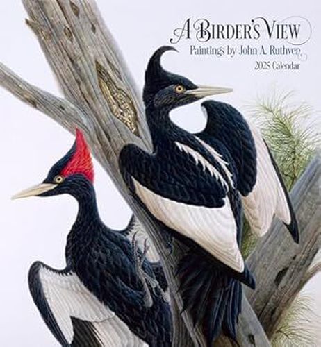 2025 A Birder's View Wall Calendar