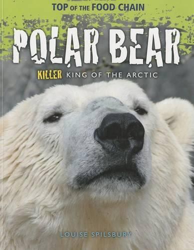 Cover image for Polar Bear