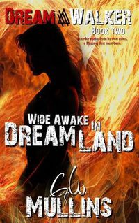 Cover image for Wide Awake In Dream Land