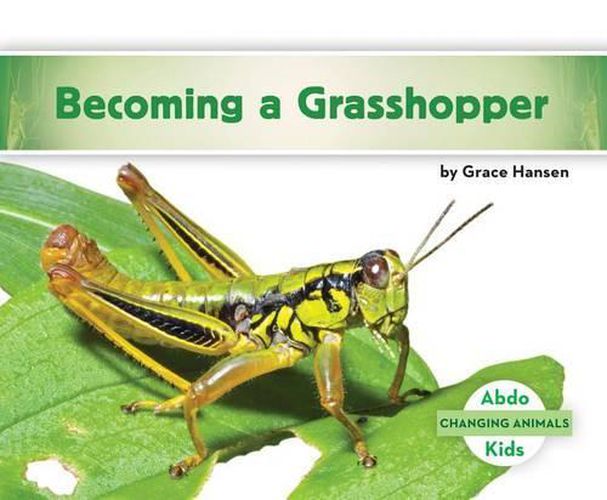 Cover image for Becoming a Grasshopper