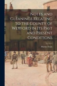 Cover image for Notes and Gleanings Relating to the County of Wexford in Its Past and Present Conditions