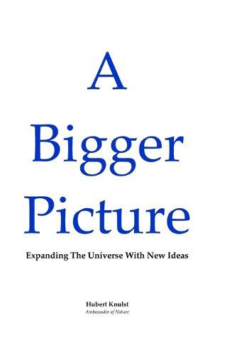 Cover image for A Bigger Picture