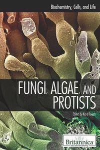 Cover image for Fungi, Algae, and Protists