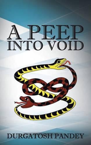 Cover image for A Peep Into Void