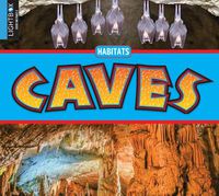 Cover image for Caves