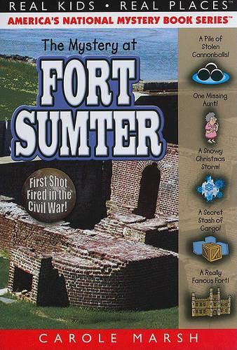 Cover image for The Mystery at Fort Sumter