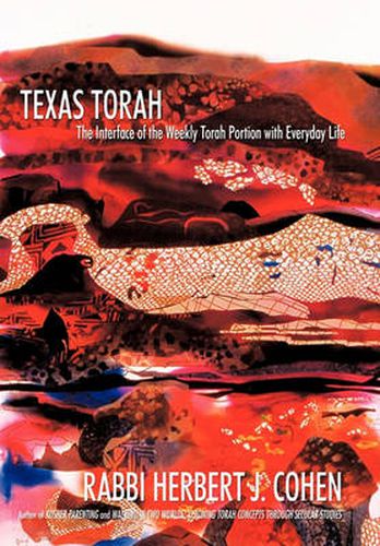 Cover image for Texas Torah