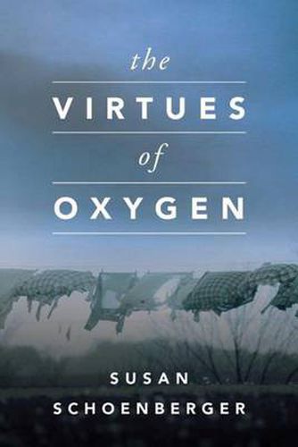 Cover image for The Virtues of Oxygen