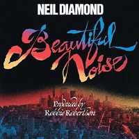 Cover image for Beautiful Noise