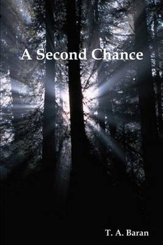 Cover image for A Second Chance