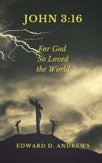 Cover image for John 3: 16: For God So Loved the World