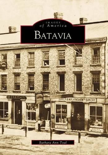 Cover image for Batavia