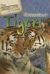 Cover image for The Secret Lives of Tigers