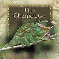 Cover image for The Chameleon