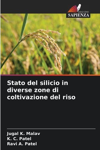Cover image for Stato del silicio in diverse zone di coltivazione del riso