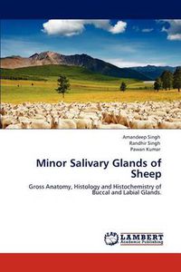 Cover image for Minor Salivary Glands of Sheep