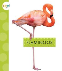 Cover image for Flamingos