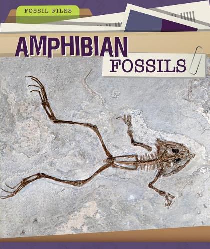 Amphibian Fossils