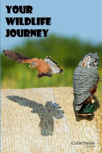 Cover image for Your Wildlife Journey