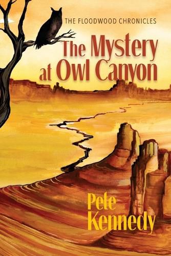 Cover image for The Mystery at Owl Canyon