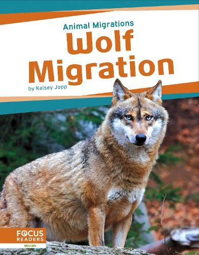 Wolf Migration